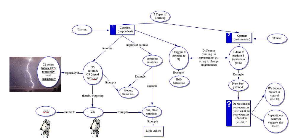 Operant vs Classical Conditioning